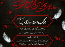 موکب اصحاب صاحب (عج)